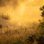 The Importance of User Experience in Modern Navigation Systems